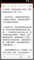 爱游戏平台赞助罗马